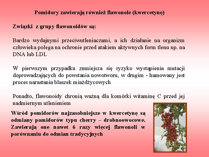 Pomidory zawierają również flawonole (kwercetynę) Związki z grupy flawonoidów są: Bardzo wydajnymi przeciwutleniaczami, a