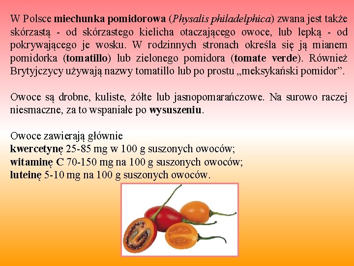 W Polsce miechunka pomidorowa (Physalis philadelphica) zwana jest także skórzastą - od skórzastego kielicha