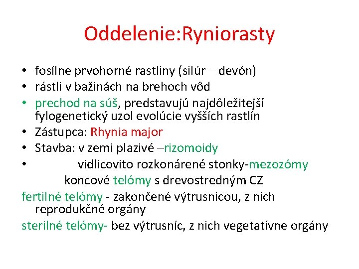 Oddelenie: Ryniorasty • fosílne prvohorné rastliny (silúr – devón) • rástli v bažinách na