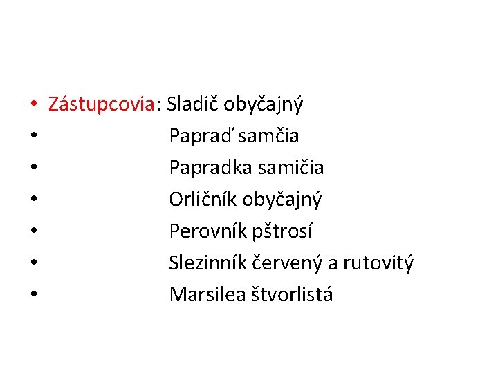  • • Zástupcovia: Sladič obyčajný Papraď samčia Papradka samičia Orličník obyčajný Perovník pštrosí