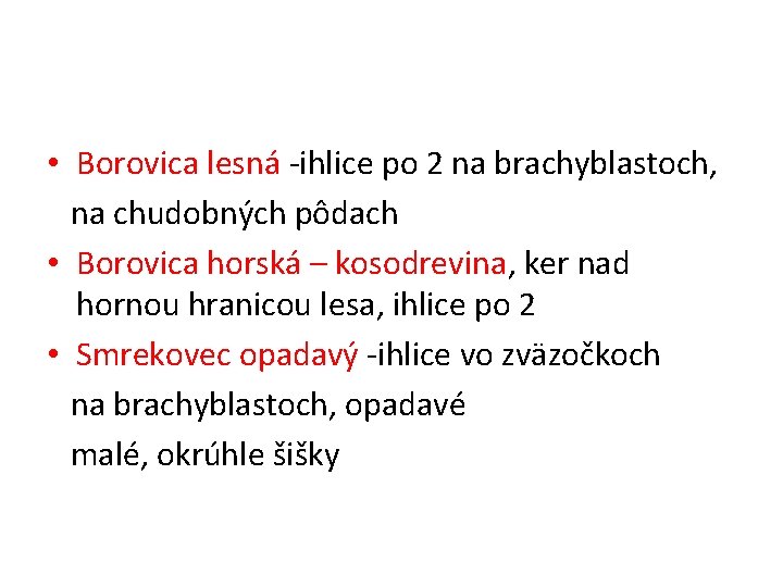  • Borovica lesná -ihlice po 2 na brachyblastoch, na chudobných pôdach • Borovica
