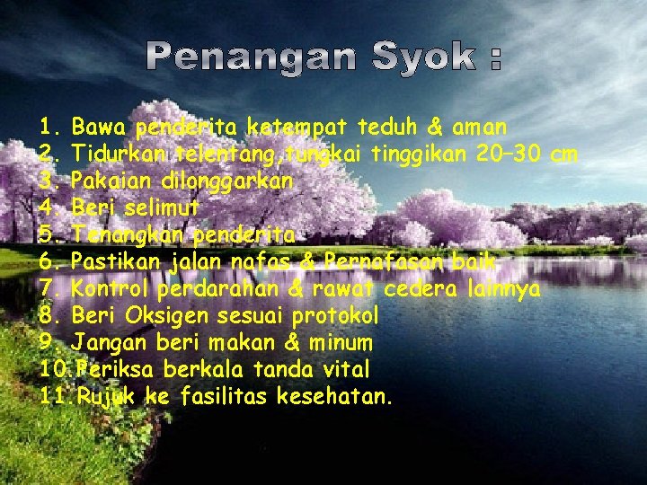 1. Bawa penderita ketempat teduh & aman 2. Tidurkan telentang, tungkai tinggikan 20– 30