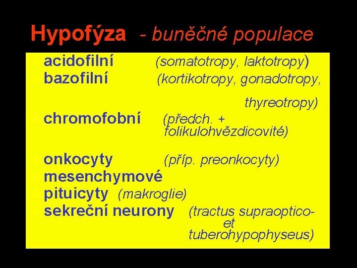 Hypofýza - buněčné populace u acidofilní (somatotropy, laktotropy) u bazofilní (kortikotropy, gonadotropy, u chromofobní