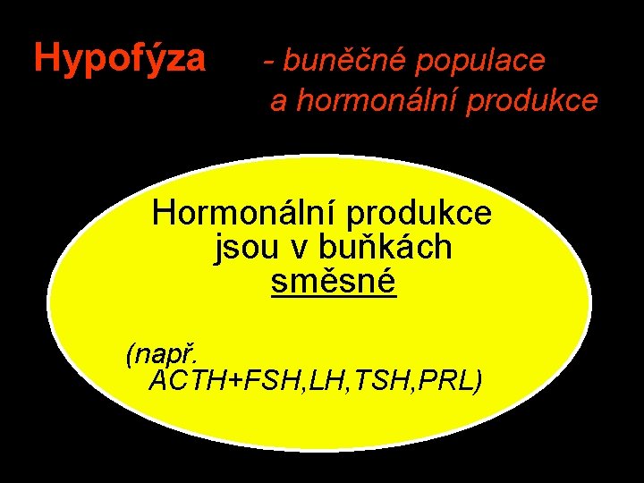 Hypofýza - buněčné populace a hormonální produkce Hormonální produkce jsou v buňkách směsné (např.