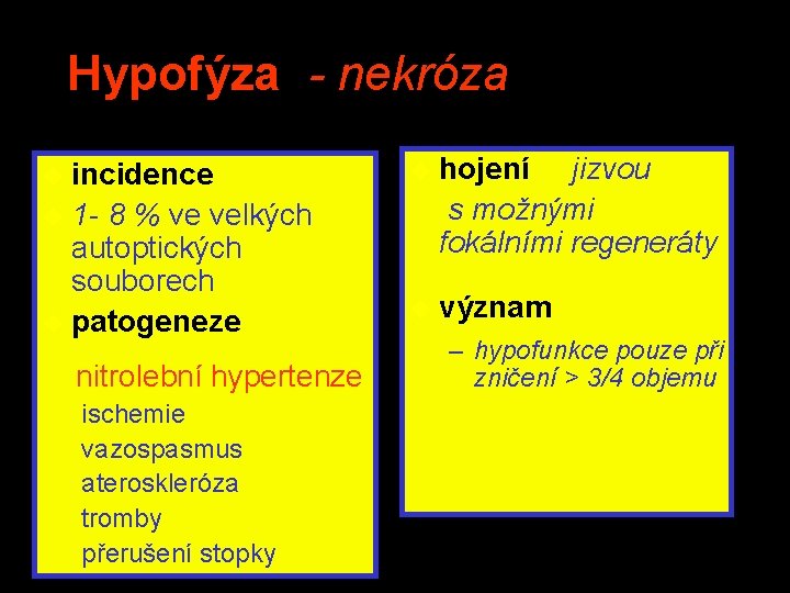 Hypofýza - nekróza u incidence u 1 - 8 % ve velkých autoptických souborech