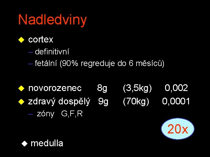 Nadledviny u cortex – definitivní – fetální (90% regreduje do 6 měsíců) u novorozenec