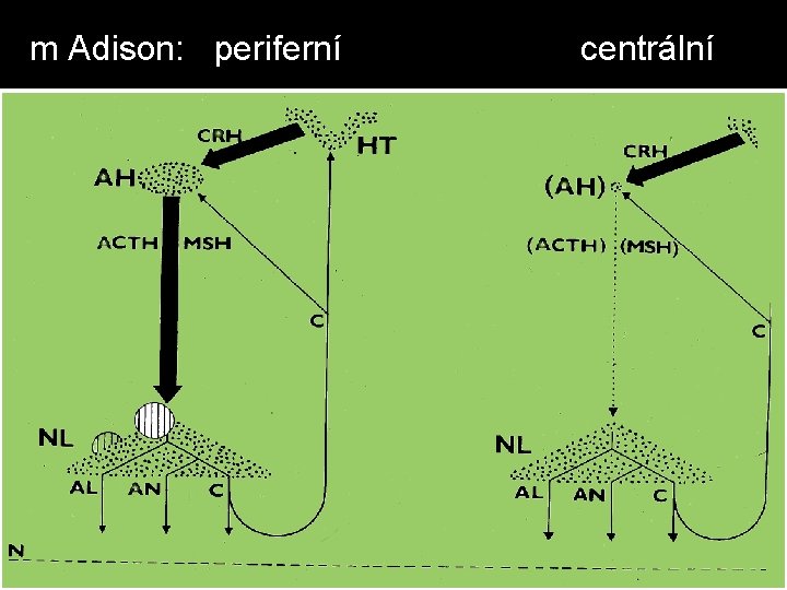 m Adison: periferní centrální 