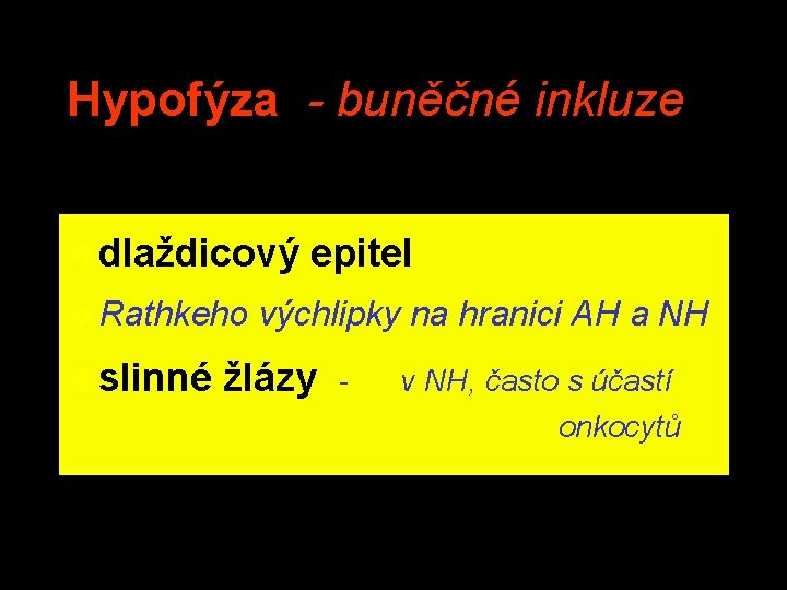 Hypofýza - buněčné inkluze udlaždicový u Rathkeho uslinné epitel výchlipky na hranici AH a