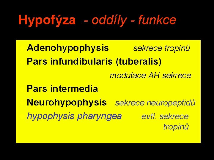 Hypofýza - oddíly - funkce u Adenohypophysis u Pars sekrece tropinů infundibularis (tuberalis) modulace