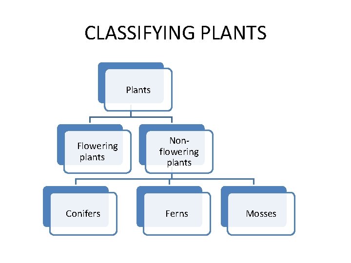 CLASSIFYING PLANTS Plants Flowering plants Conifers Nonflowering plants Ferns Mosses 