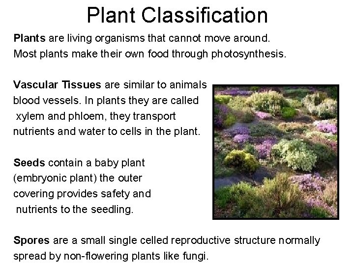 Plant Classification Plants are living organisms that cannot move around. Most plants make their