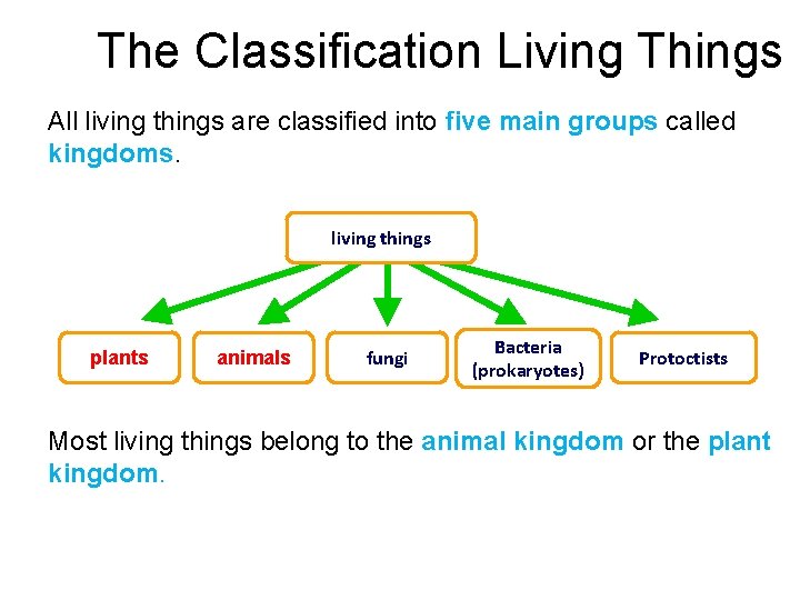  The Classification Living Things All living things are classified into five main groups