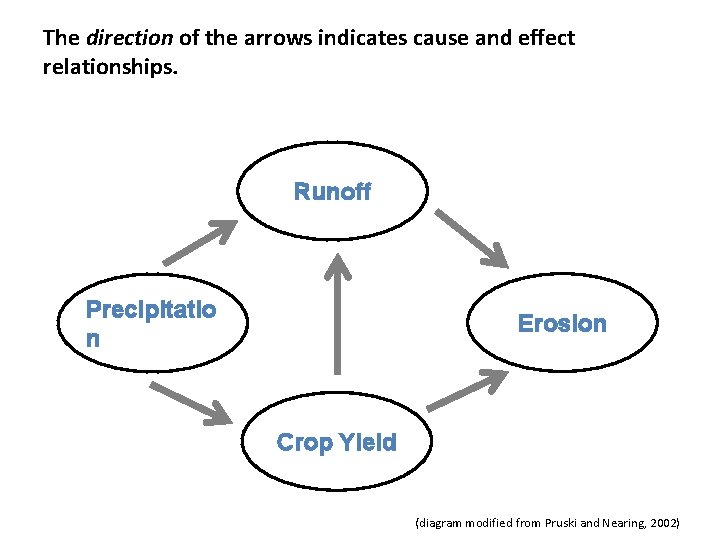 The direction of the arrows indicates cause and effect relationships. Runoff Precipitatio n Erosion