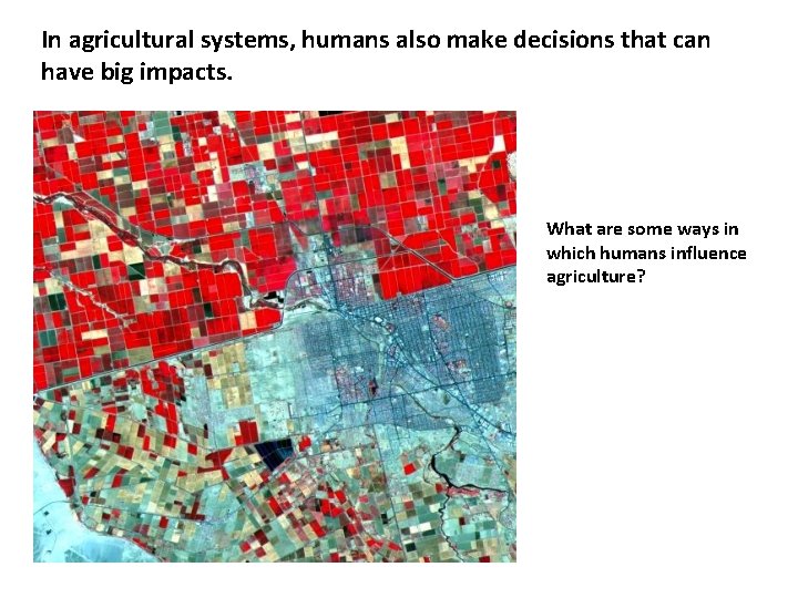 In agricultural systems, humans also make decisions that can have big impacts. What are