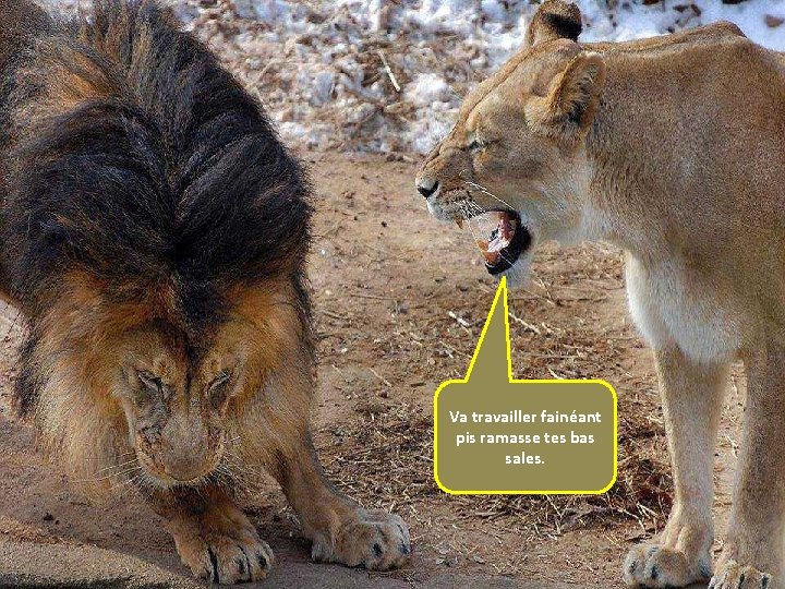 Va travailler fainéant pis ramasse tes bas sales. 