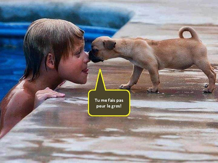 Tu me fais pas peur le gros! 