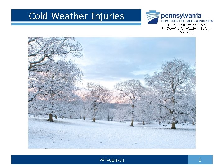 Cold Weather Injuries Bureau of Workers Comp PA Training for Health & Safety (PATHS)