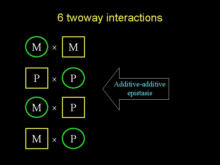 6 twoway interactions M M P M P P Additive-additive epistasis 
