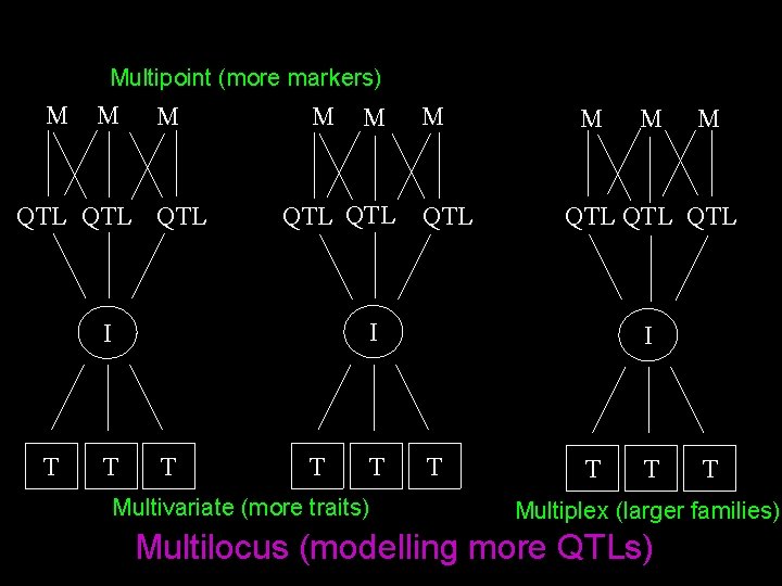 Multipoint (more markers) M M M QTL QTL M T T Multivariate (more traits)