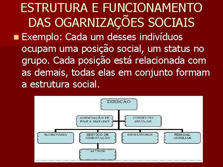 ESTRUTURA E FUNCIONAMENTO DAS OGARNIZAÇÕES SOCIAIS n Exemplo: Cada um desses indivíduos ocupam uma