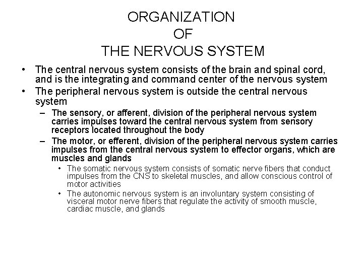 ORGANIZATION OF THE NERVOUS SYSTEM • The central nervous system consists of the brain