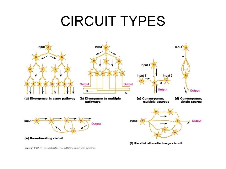 CIRCUIT TYPES 