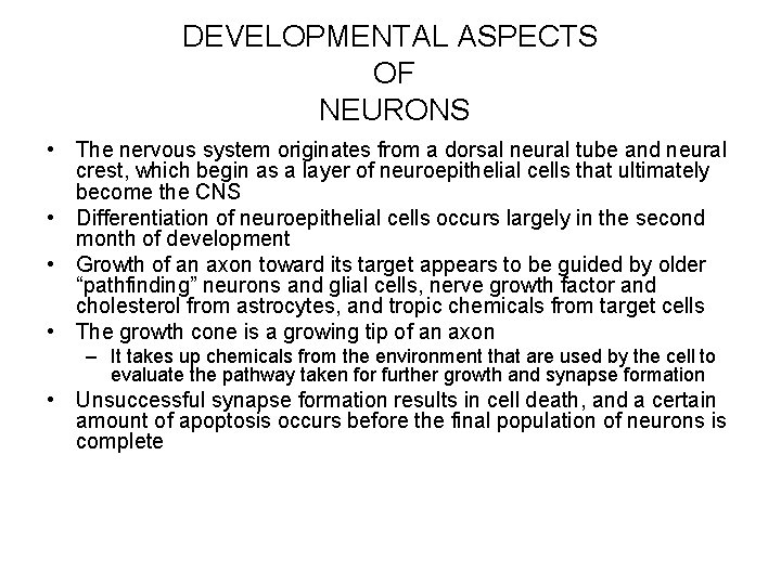 DEVELOPMENTAL ASPECTS OF NEURONS • The nervous system originates from a dorsal neural tube