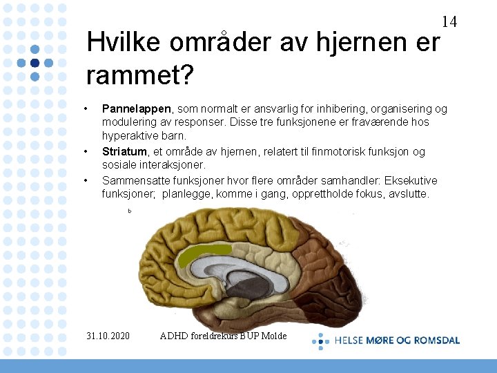 14 Hvilke områder av hjernen er rammet? • • • Pannelappen, som normalt er
