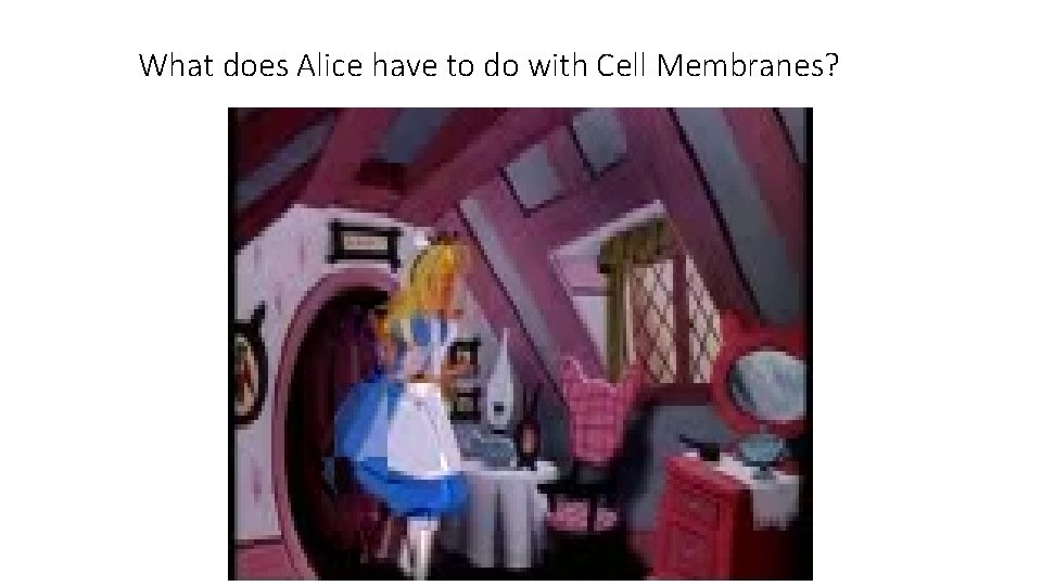 What does Alice have to do with Cell Membranes? 