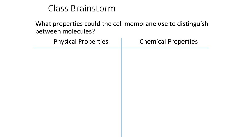 Class Brainstorm What properties could the cell membrane use to distinguish between molecules? Physical