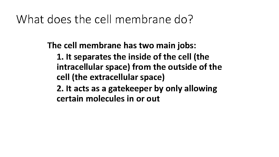 What does the cell membrane do? The cell membrane has two main jobs: 1.