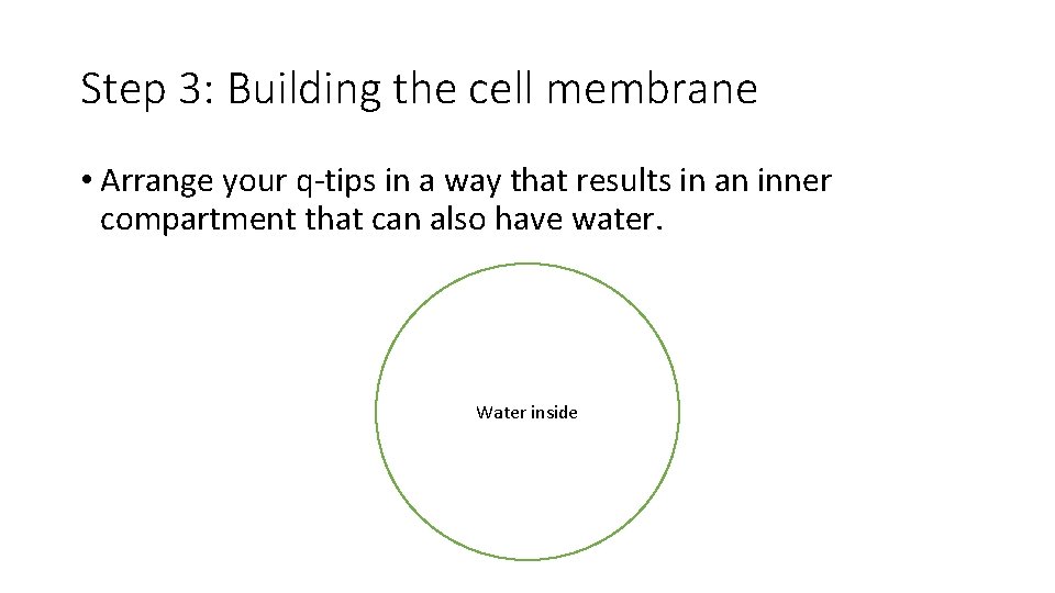 Step 3: Building the cell membrane • Arrange your q-tips in a way that