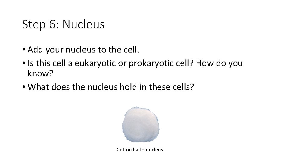 Step 6: Nucleus • Add your nucleus to the cell. • Is this cell
