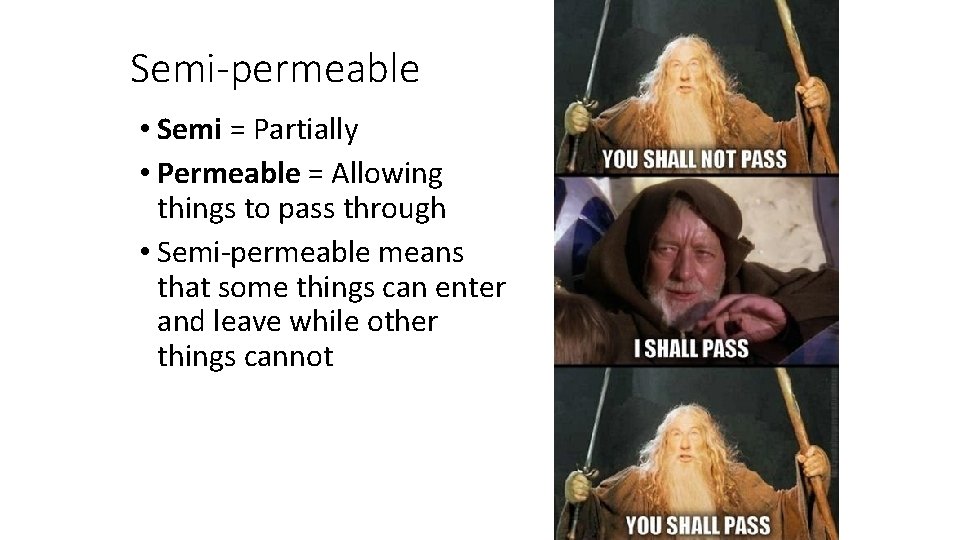 Semi-permeable • Semi = Partially • Permeable = Allowing things to pass through •