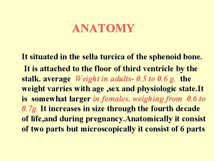 ANATOMY It situated in the sella turcica of the sphenoid bone. It is attached