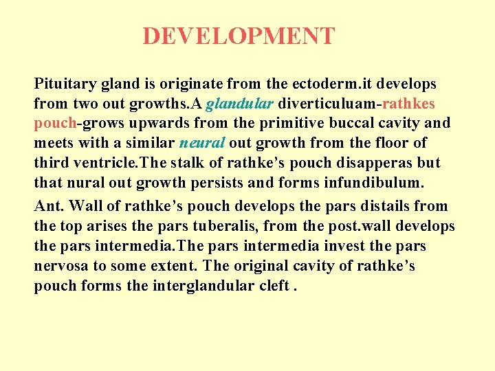 DEVELOPMENT Pituitary gland is originate from the ectoderm. it develops from two out growths.
