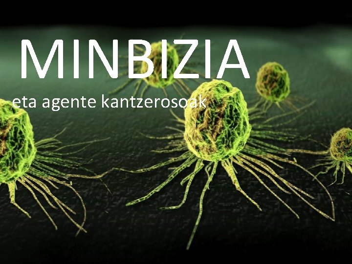 MINBIZIA eta agente kantzerosoak 