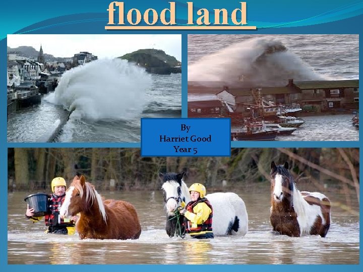 flood land By Harriet Good Year 5 