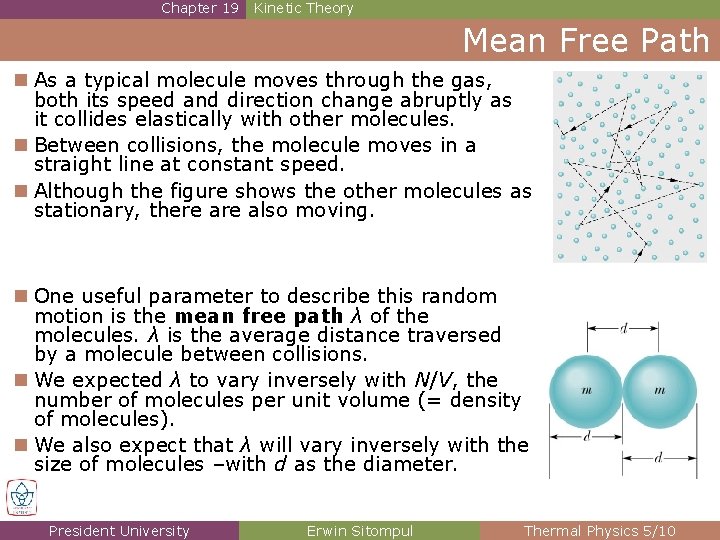 Chapter 19 Kinetic Theory Mean Free Path n As a typical molecule moves through