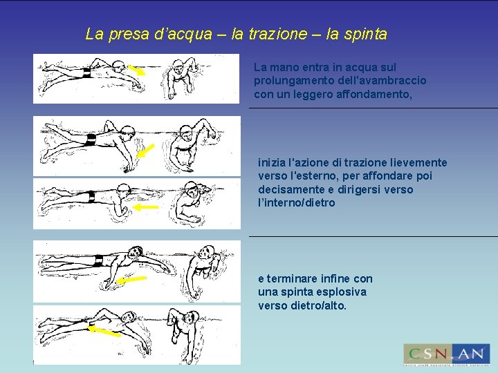 La presa d’acqua – la trazione – la spinta La mano entra in acqua