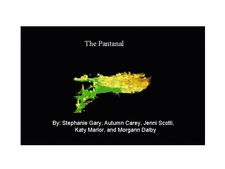 The Pantanal By: Stephanie Gary, Autumn Carey, Jenni Scotti, Katy Marlor, and Morgann Dalby