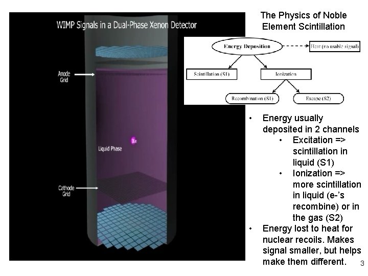 The Physics of Noble Element Scintillation • • Energy usually deposited in 2 channels