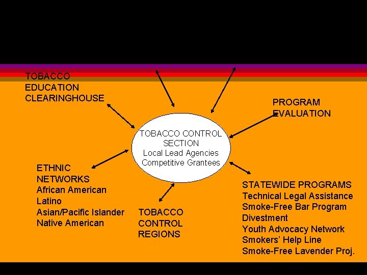 CALIFORNIA TOBACCO CONTROL PROGRAM MEDIA CAMPAIGN TOBACCO EDUCATION CLEARINGHOUSE ETHNIC NETWORKS African American Latino