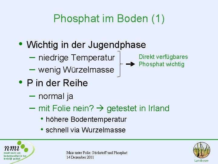 Phosphat im Boden (1) • Wichtig in der Jugendphase – niedrige Temperatur – wenig