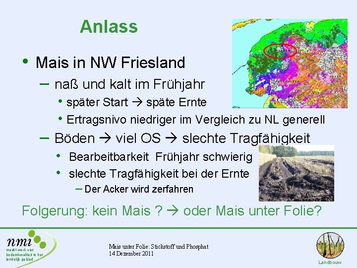 Anlass • Mais in NW Friesland – naß und kalt im Frühjahr • später