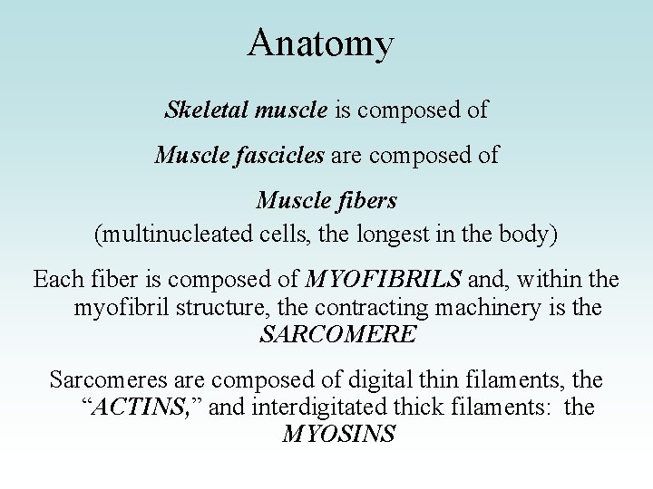 Anatomy Skeletal muscle is composed of Muscle fascicles are composed of Muscle fibers (multinucleated Anatomy Skeletal muscle is composed of Muscle fascicles are composed of Muscle fibers (multinucleated