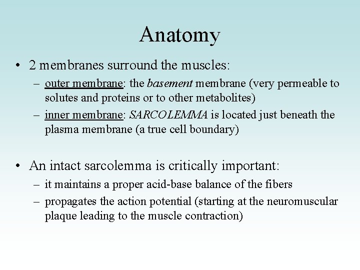 Anatomy • 2 membranes surround the muscles: – outer membrane: the basement membrane (very