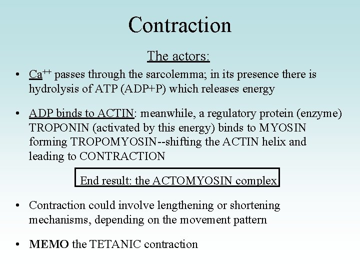 Contraction The actors: • Ca++ passes through the sarcolemma; in its presence there is