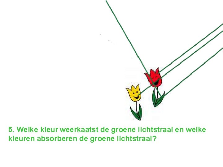 5. Welke kleur weerkaatst de groene lichtstraal en welke kleuren absorberen de groene lichtstraal?