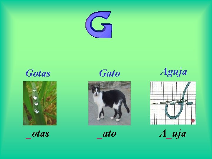 Gotas Gato Aguja _otas _ato A_uja 